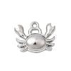 Marine Organism Theme 304 Stainless Steel Charms STAS-Z179-40P-07A-1