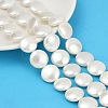 Electroplated Shell Pearl Beads Strands BSHE-G027-13D-1