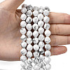 Natural Howlite Beads Strands G-Z119-A43-03-2
