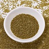 MIYUKI Delica Beads X-SEED-J020-DB0909-3