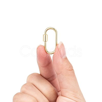 Brass Screw Carabiner Lock Charms KK-T047-07G-1