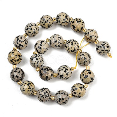 Natural Dalmatian Jasper Beads Strands G-C249-A02-16mm-1