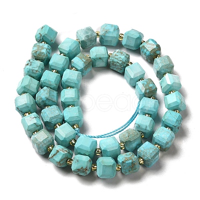 Natural Howlite Beads Strands G-C025-14-1