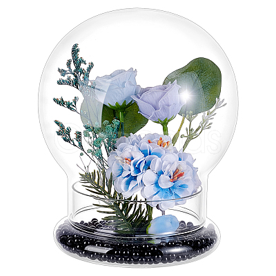 Round Glass Dome Cover GLAA-WH0049-013C-1