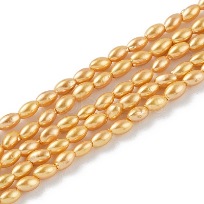 Electroplated Shell Pearl Beads Strands BSHE-Z009-10B-01-1