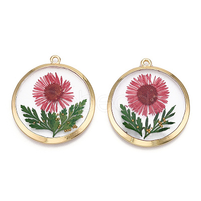 Alloy Epoxy Resin Pendants X1-PALLOY-TAC0044-82-1