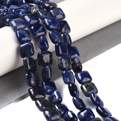 Natural Sodalite Beads Strands G-M435-A07-01-1