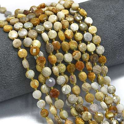 Natural Fossil Coral Beads Strands G-K389-B57-01-1