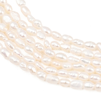 Natural Cultured Freshwater Pearl Beads Strands PEAR-D003-01D-03-1