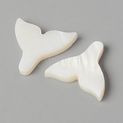 Natural Freshwater Shell Beads X-SHEL-N026-75-1