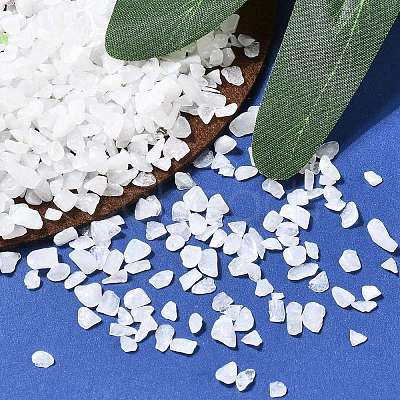 Natural White Jade Chip Beads G-O103-16-1
