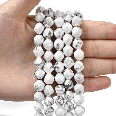 Natural Howlite Beads Strands G-Z119-A43-03-1