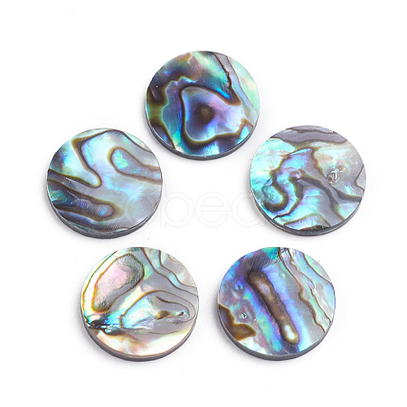 Natural Abalone Shell/Paua Shell Cabochons X-SSHEL-L017-001-1