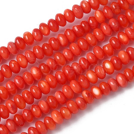 Natural Freshwater Shell Beads Strands SSHEL-C013-08A-1