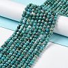 Natural Chrysocolla Beads Strands G-P514-A03-03-2