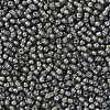 TOHO Round Seed Beads X-SEED-TR11-0371-2