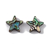 Natural Abalone Shell/Paua Shell Beads SSHEL-M021-01-2