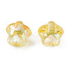 1-Hole Transparent Acrylic Buttons MACR-S373-129-C03-5