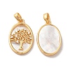 Brass Shell Pendants KK-M243-34G-1