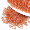Glass Seed Beads SEED-S042-11A-03-1