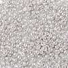 8/0 Glass Seed Beads X-SEED-A017-3mm-1109-2