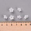 Transparent Acrylic Beads PL554-5