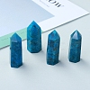 Point Tower Natural Apatite Home Display Decoration PW-WG91959-02-3