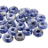 30Pcs Natural Blue Spot Jasper European Beads G-SP0001-01A-05-1