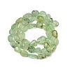 Natural Prehnite Beads Strands G-R445-8x10-25-01-5