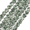 Natural Green Spot Jasper Beads Strands G-B138-C24-01-2