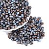 Picasso Glass Seed Beads SEED-N012-10N-1
