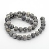 Frosted Natural Map Stone/Picasso Stone/Picasso Jasper Round Bead Strands G-M272-08-10mm-2