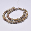 Natural Maifanite/Maifan Stone Beads Strands G-F353-6mm-4