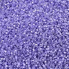 MIYUKI Delica Beads X-SEED-J020-DB0249-3