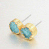 Flat Round Natural Druzy Agate Stud Earrings EJEW-L168-03D-1