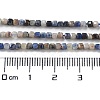 Natural Sodalite Beads Strands G-J400-A06-01-5