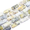 Natural White African Opal Beads Strands G-E530-16F-1