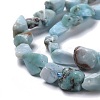 Natural Larimar Beads Strands G-K203-91-2