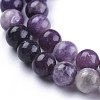 Natural Lepidolite/Purple Mica Stone Beads Strands X-G-K415-8mm-4