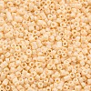 Glass Cylinder Beads SEED-S047-A-021-3