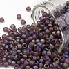 TOHO 8/0 Round Beads SEED-TR08-0166BF-1
