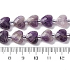 Natural Amethyst Beads Strands G-P570-E17-01-5