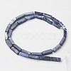 Natural Sodalite Beads Strands X-G-G968-D02-2
