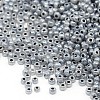 (Repacking Service Available) Glass Seed Beads SEED-C020-3mm-156-1
