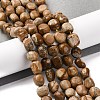 Natural Picture Jasper Beads Strands G-G146-A01-02-2