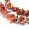 Natural Carnelian Beads Strands G-P332-04-2