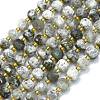 Natural Labradorite Beads Strands G-K389-E41-01-1