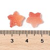 Imitation Candy Food Style Resin Cabochons RESI-R461-02A-4