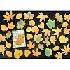 50Pcs Maple Leaf Theme Paper Stickers STIC-P017-C02-3