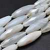 Natural White Agate Beads Strands G-O179-G01-2-1